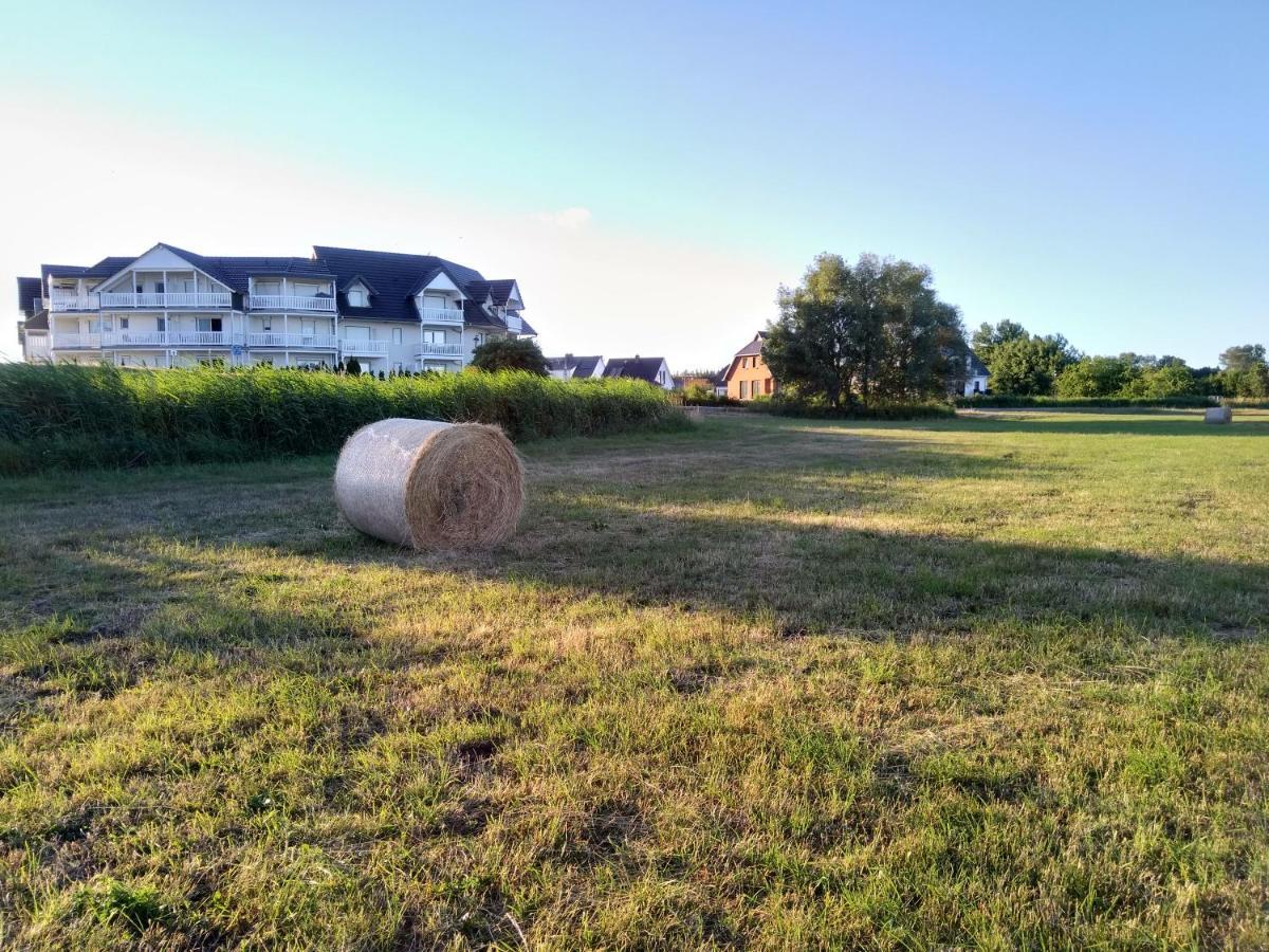 - Direkt Am Wasser Apartment Karlshagen